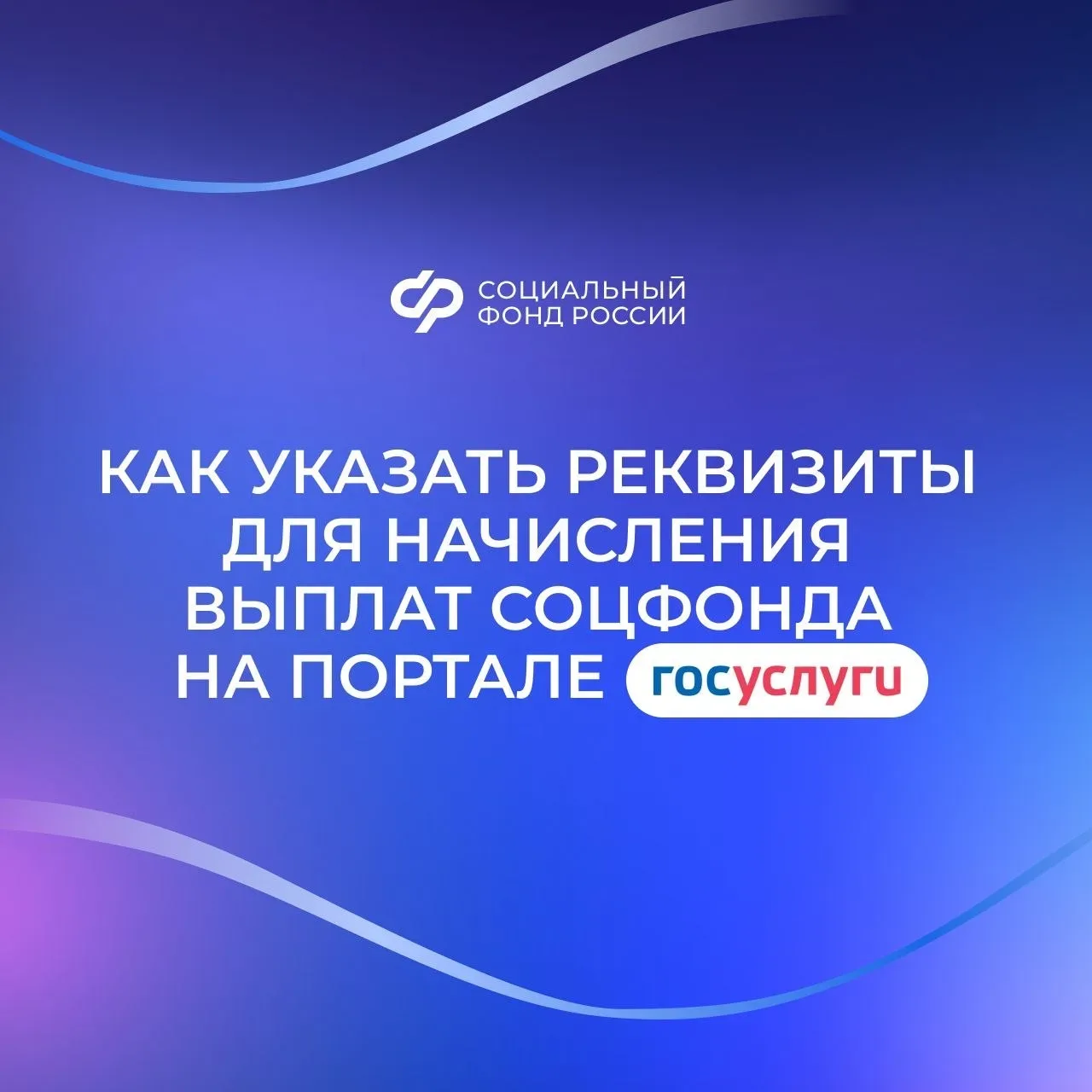 Указание реквизитов счета на портале госуслуг  😘 Социальный фонд назначает многие меры поддержки про