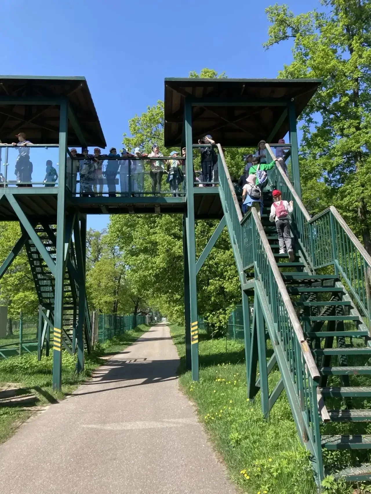 17 мая ученики 3 «А» класса посетили Приокско- Террасный заповедник. Ребята познакомились с исчезающ