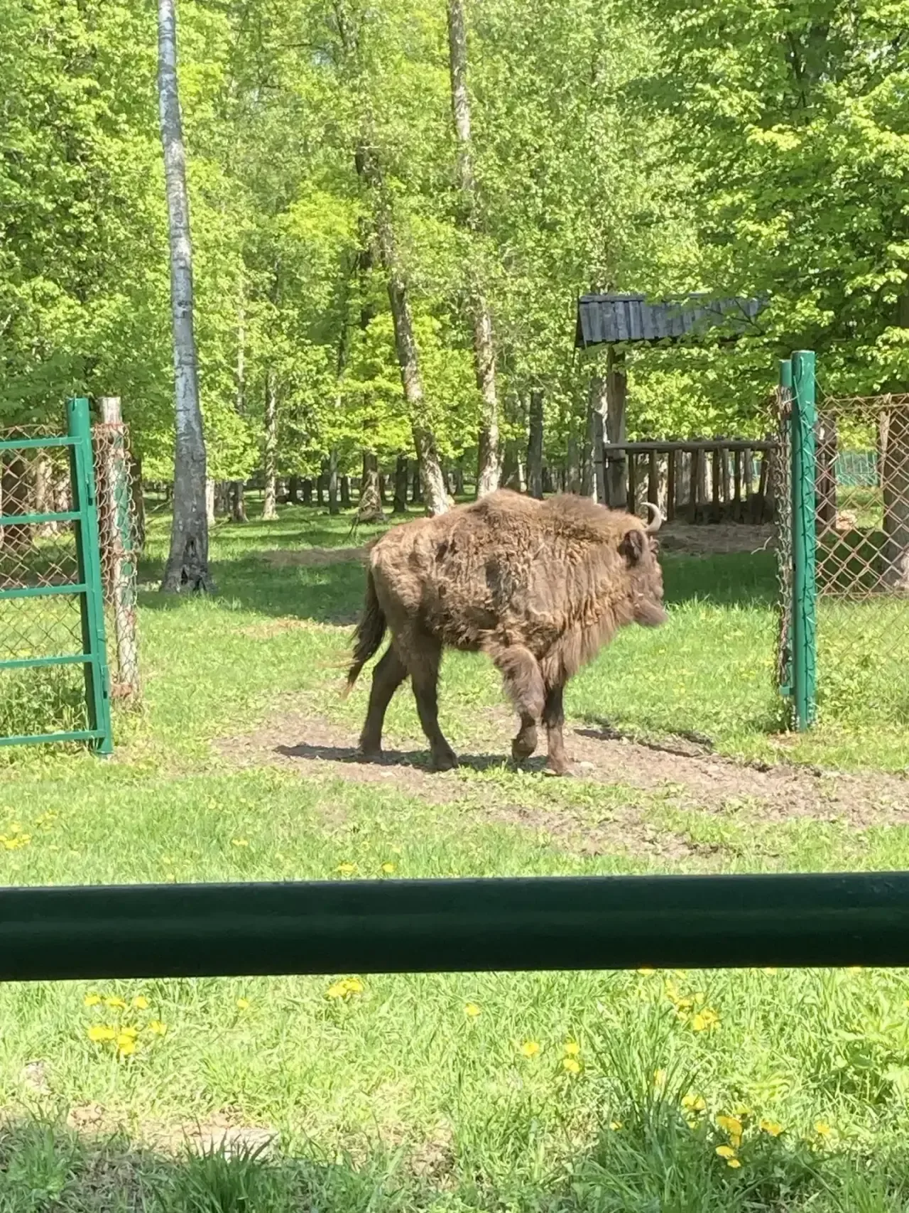 17 мая ученики 3 «А» класса посетили Приокско- Террасный заповедник. Ребята познакомились с исчезающ