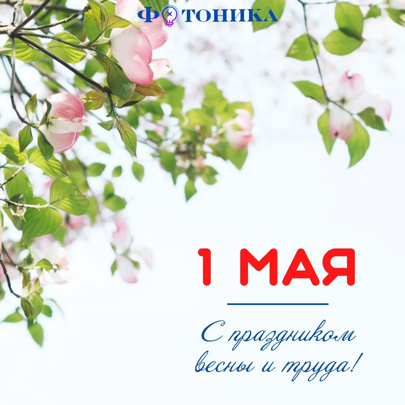 Мир. Труд. Май.  С приходом последнего весеннего месяца многих согревают тёплые воспоминания о перво