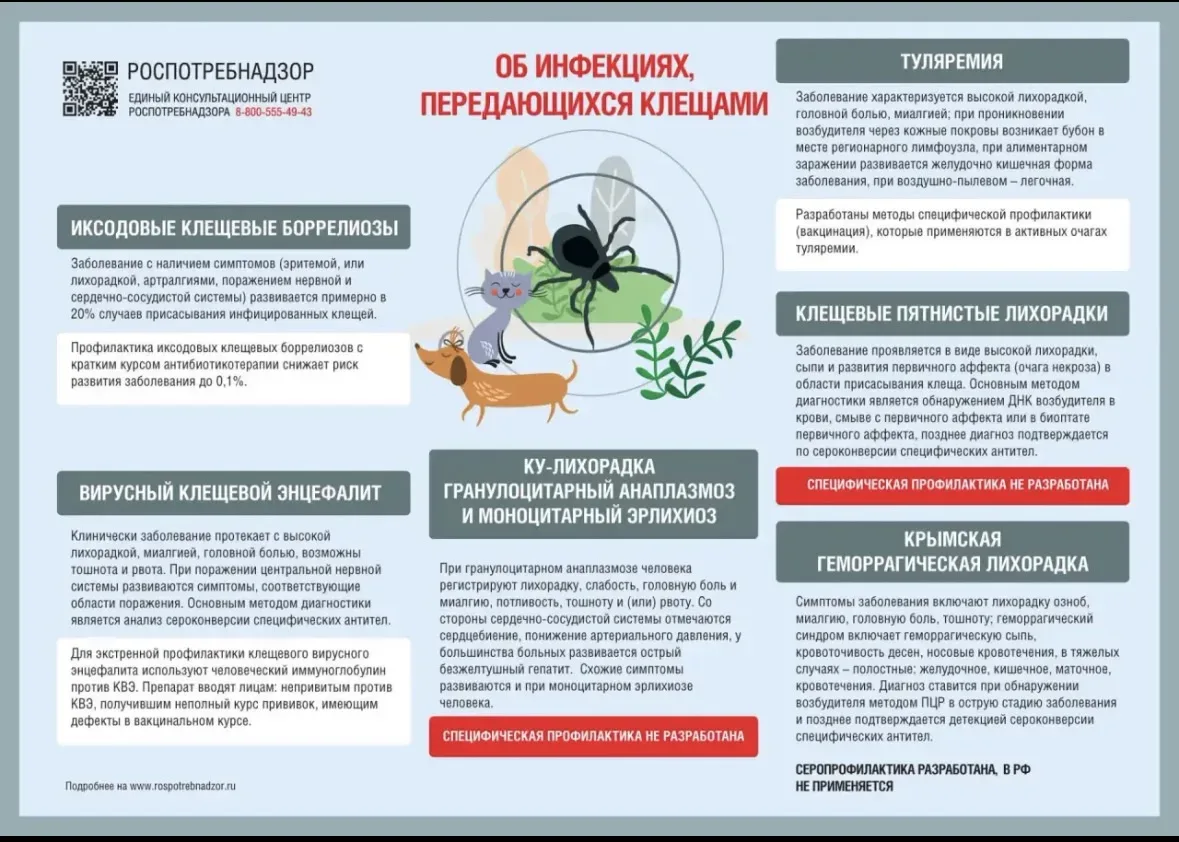 Полезные памятки
