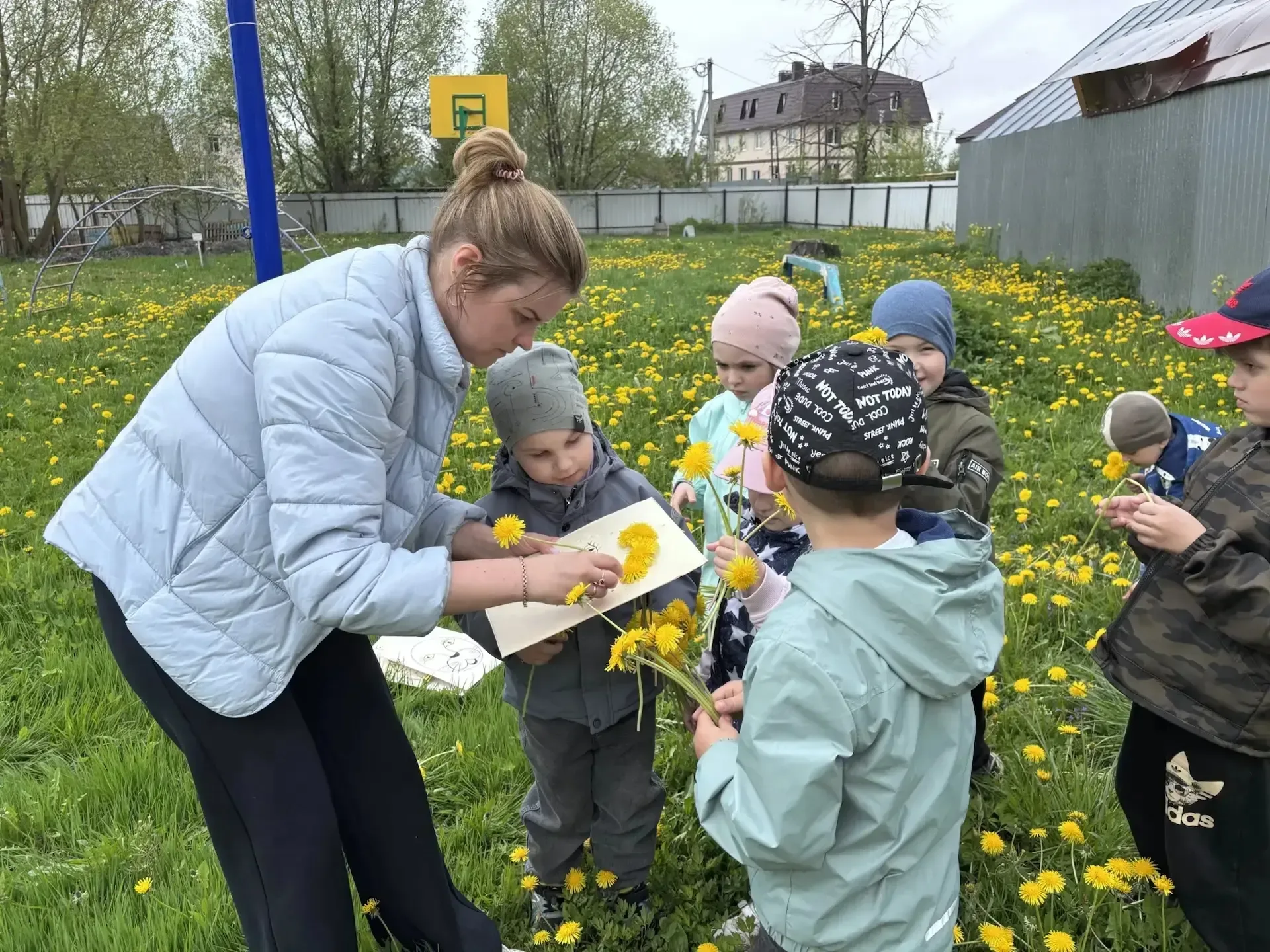 🌼 День одуванчика в ЦРР - детский сад № 15! 🌼  13 мая во Всемирный день  одуванчика в нашем детском 