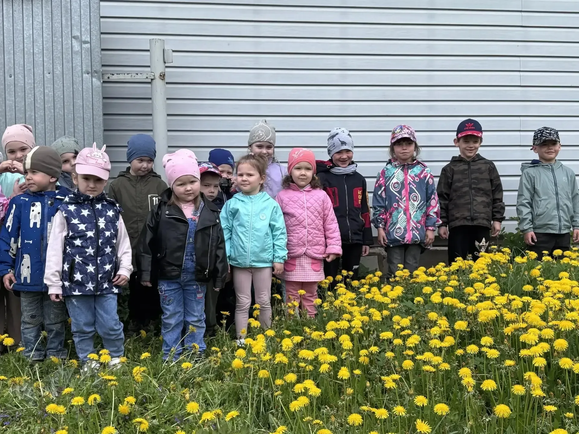 🌼 День одуванчика в ЦРР - детский сад № 15! 🌼  13 мая во Всемирный день  одуванчика в нашем детском 