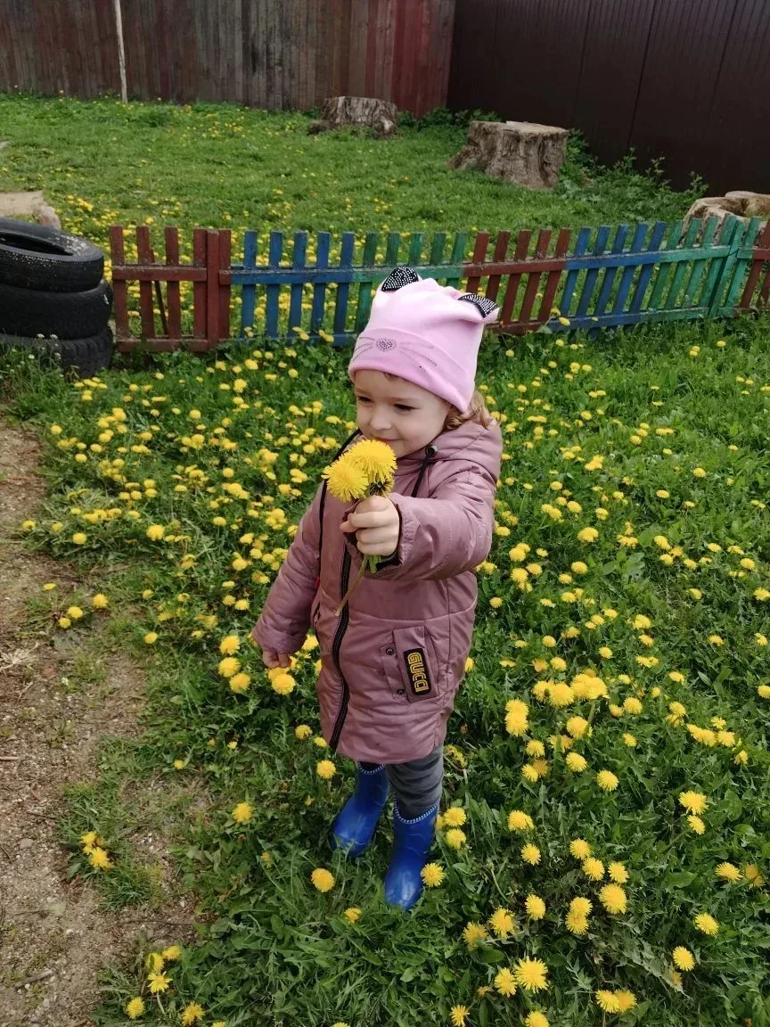 День одуванчиков в ЦРР - детский сад №23  Эти цветы похожи на маленькие солнышки!   Дети узнали, как