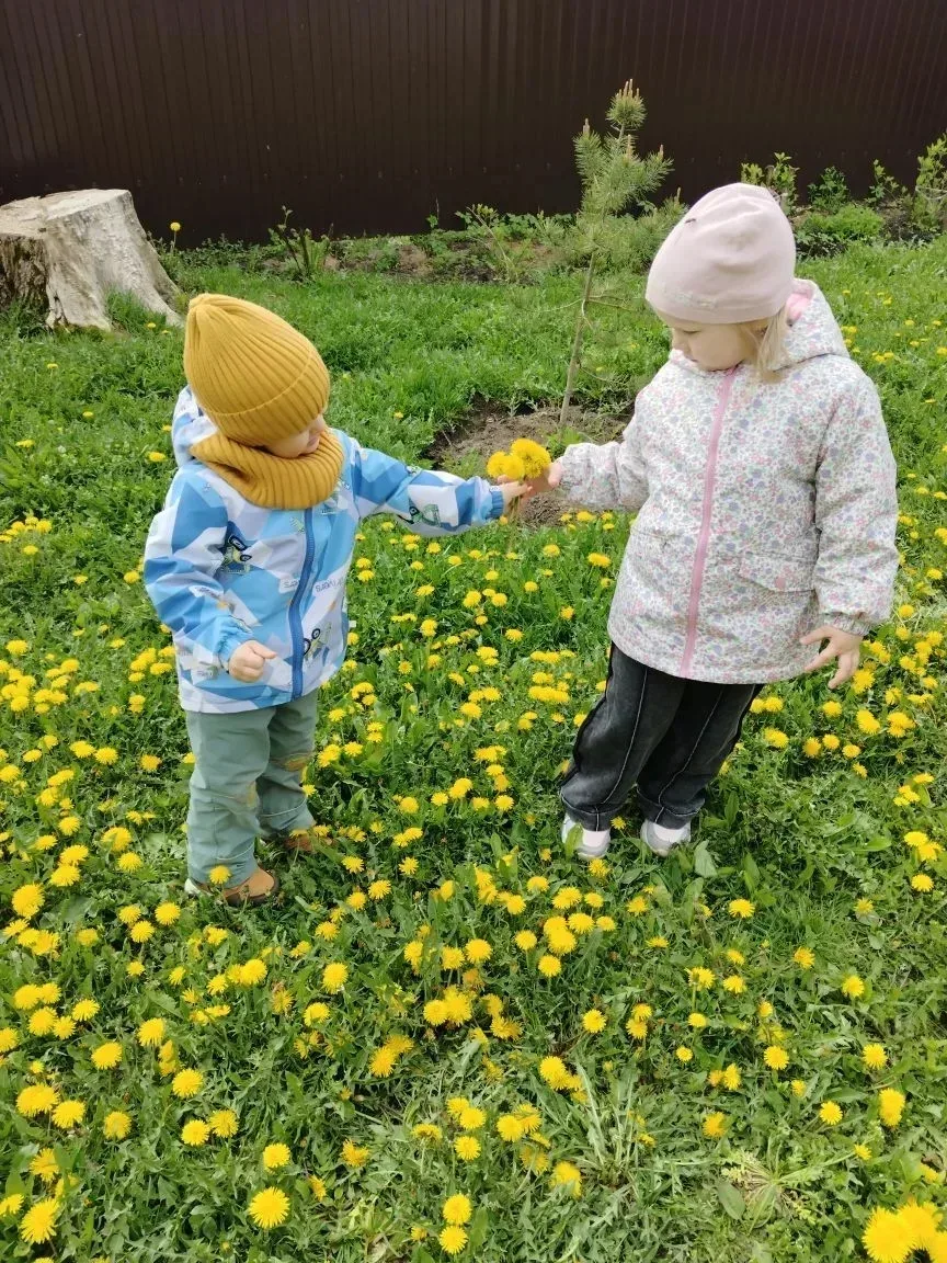 День одуванчиков в ЦРР - детский сад №23  Эти цветы похожи на маленькие солнышки!   Дети узнали, как