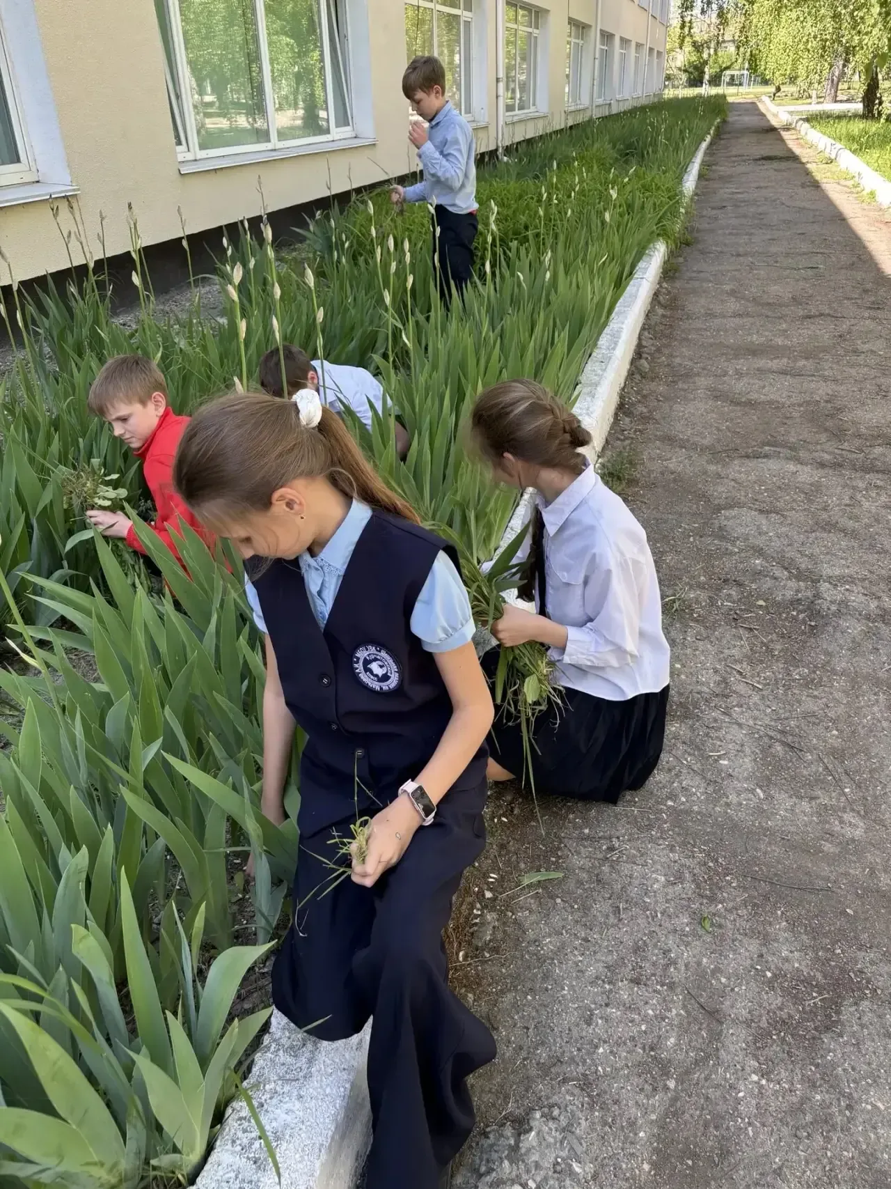🌳УБОРКА ПРИШКОЛЬНОЙ ТЕРРИТОРИИ 🌳  🌳5-Б Курчатовский класс привели в порядок пришкольный участок: обн