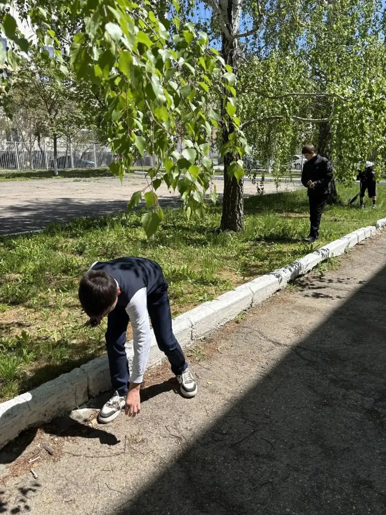🌳УБОРКА ПРИШКОЛЬНОЙ ТЕРРИТОРИИ 🌳  🌳5-Б Курчатовский класс привели в порядок пришкольный участок: обн