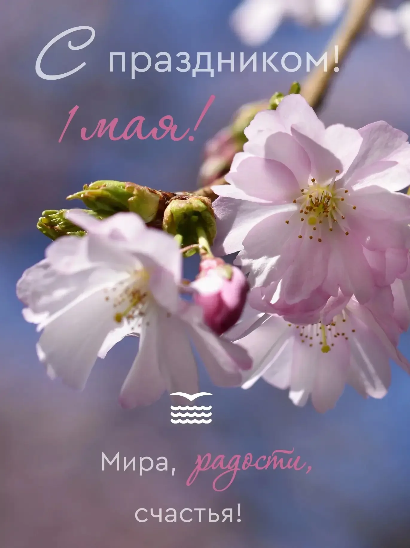 🌷 С Первомаем, любимая школа! 🎉  Сердечно поздравляем учеников, учителей и родителей с Праздником Ве