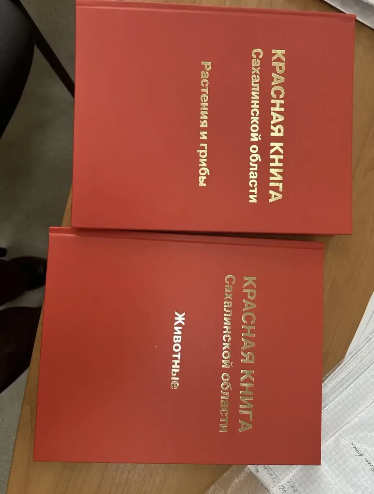 🌲 Ученики 5 «В» дали старт своему маленькому лесу!   В нашей школе прошла очередная по‑настоящему вд