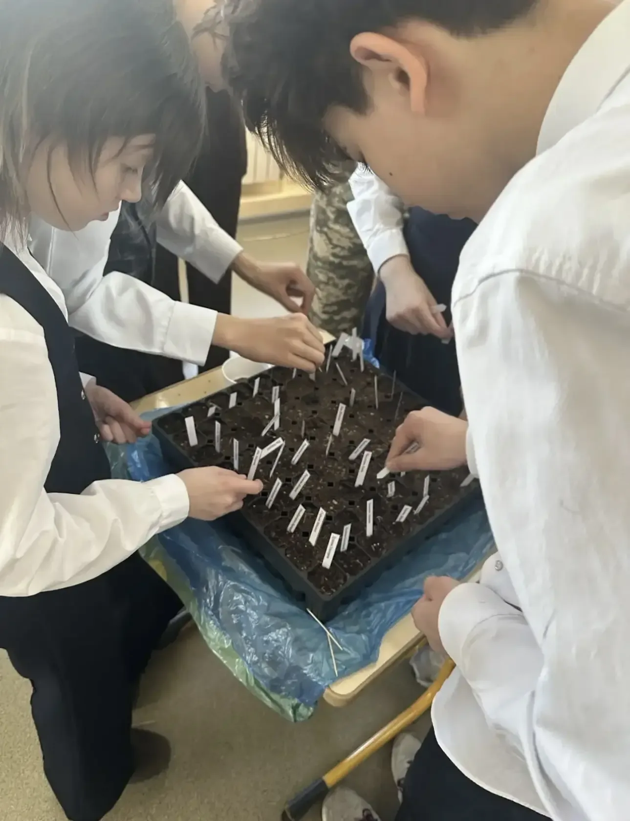 🌲 Ученики 5 «В» дали старт своему маленькому лесу!   В нашей школе прошла очередная по‑настоящему вд