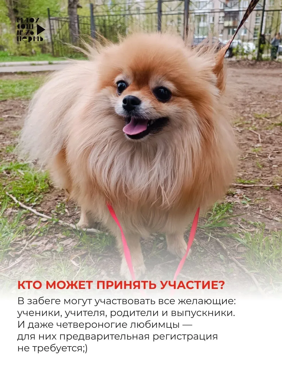 Погода сегодня чудесная!  ☀️🔥🏃‍♀️🏃  Мы напоминаем,  что сегодня в восьмой раз наша школа соберёт все