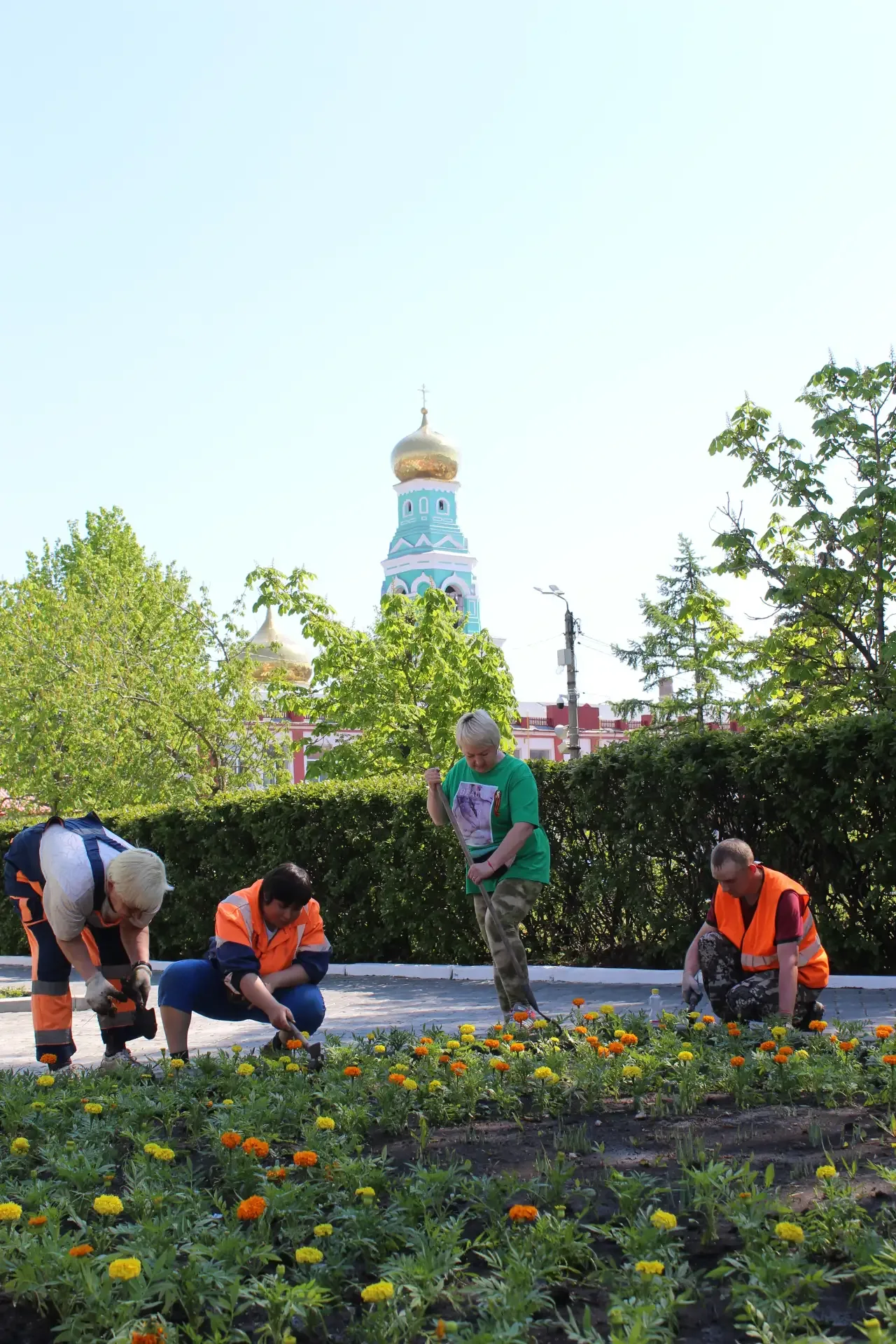 🌺Сотрудники МКУ "Благоустройство" начали украшать улицы нашего города саженцами цветов. Бархатцы был