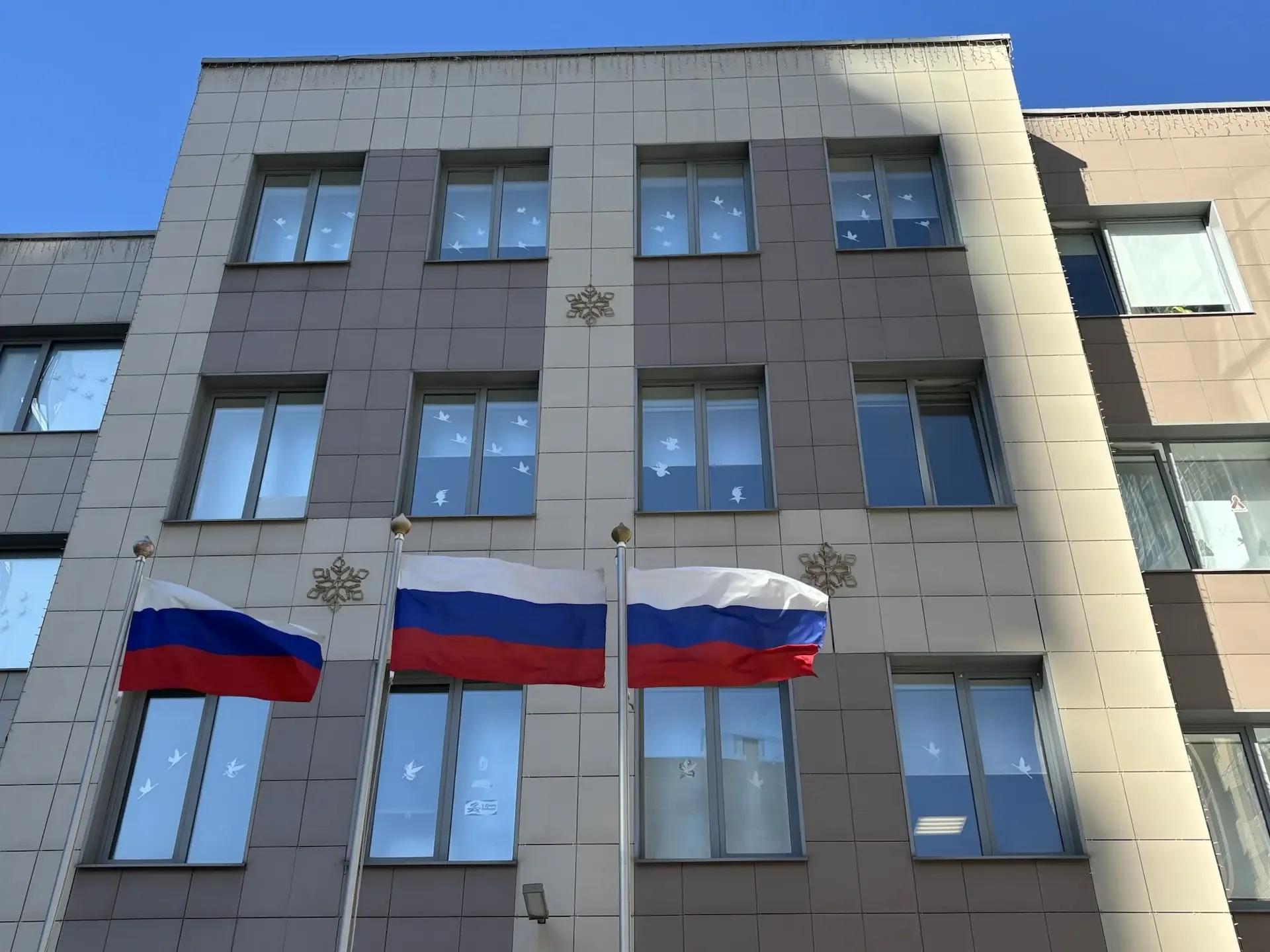 «Окна Победы»: наша школа украсила окна символами мира и памяти! 🕊  На протяжении недели вся школа а