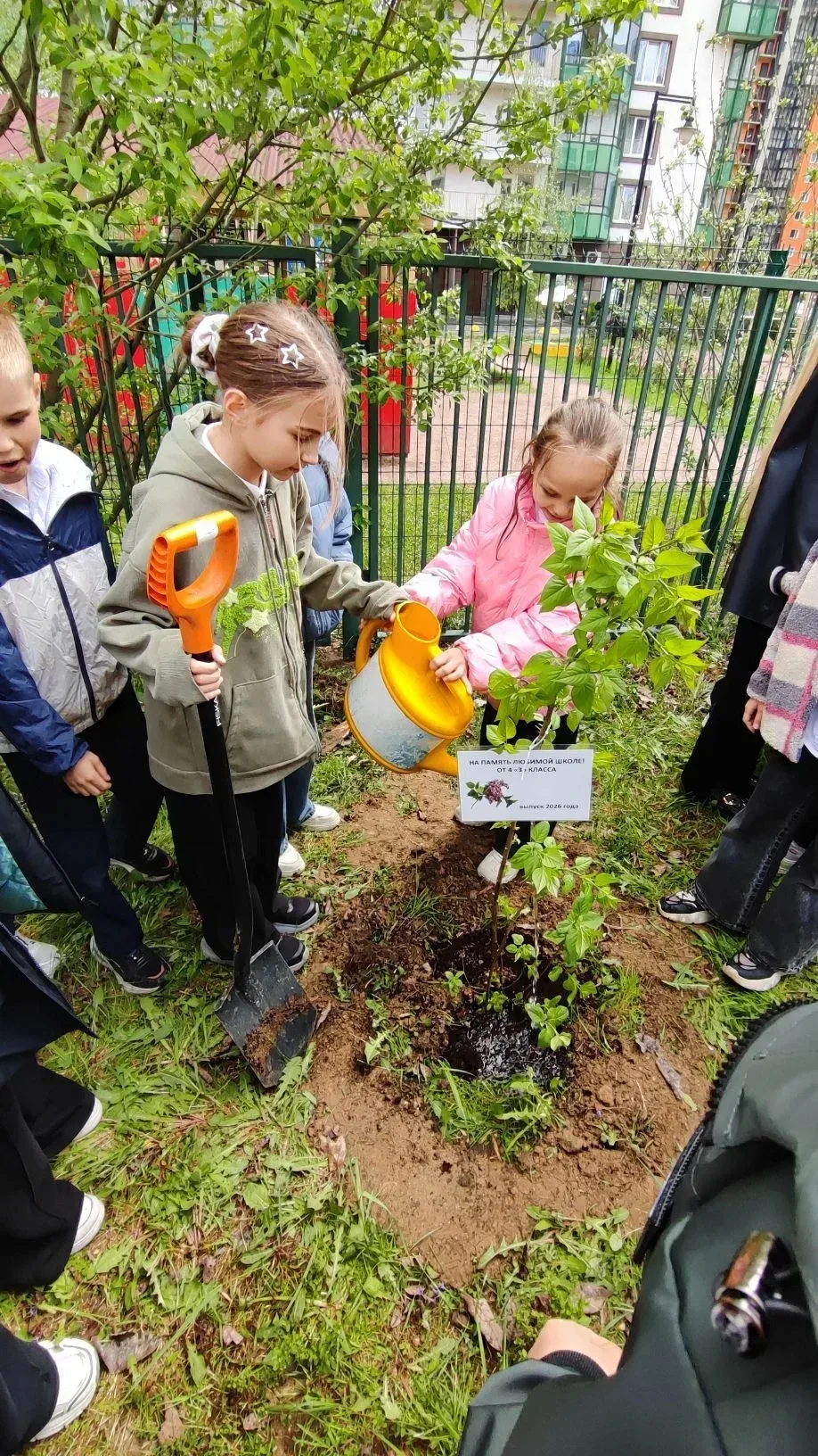 🌳В нашей школе прошла добрая и символичная акция: выпускники начальных классов собрались вместе, что
