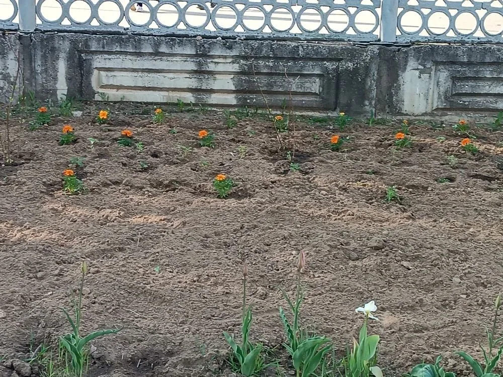 💐💐💐В рамках празднования 81-й годовщины Победы в Великой Отечественной войне 1941–1945 гг. ученики, 
