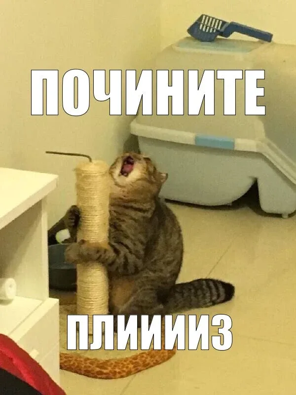 У тебя прорвало трубу, а ты пошёл менять аватарку  Бывает, зайдёшь к эксперту в блог и плакать хочет