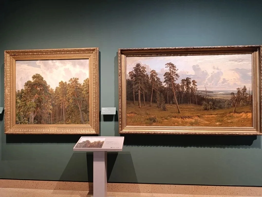 🎨 Палитра эмоций: 10Б погружается в мир искусства!  Вчера наши старшеклассники отправились в настоящ