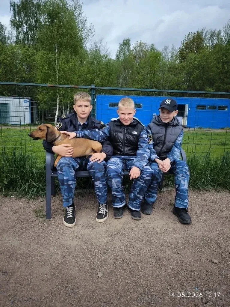 АКЦИЯ "Я-гражданин России. Развитие добровольческих (волонтёрских) практик"  В нашей школе продолжае