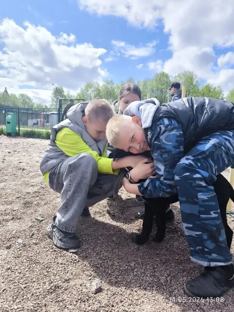 АКЦИЯ "Я-гражданин России. Развитие добровольческих (волонтёрских) практик"  В нашей школе продолжае