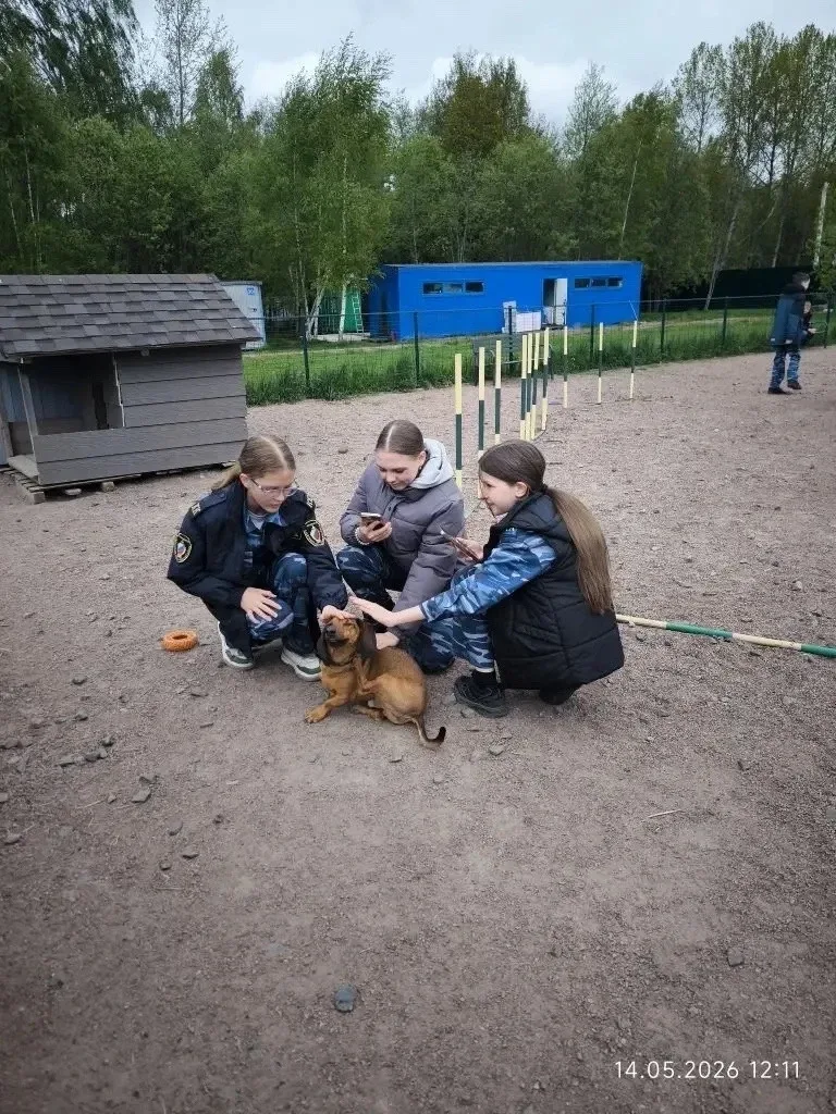 АКЦИЯ "Я-гражданин России. Развитие добровольческих (волонтёрских) практик"  В нашей школе продолжае
