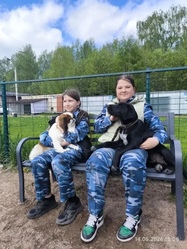 АКЦИЯ "Я-гражданин России. Развитие добровольческих (волонтёрских) практик"  В нашей школе продолжае