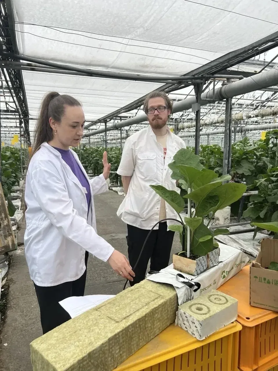 🌱В рамках сетевого взаимодействия ученики 10.3 и 7 «А» агротехнологических классов посетили практиче