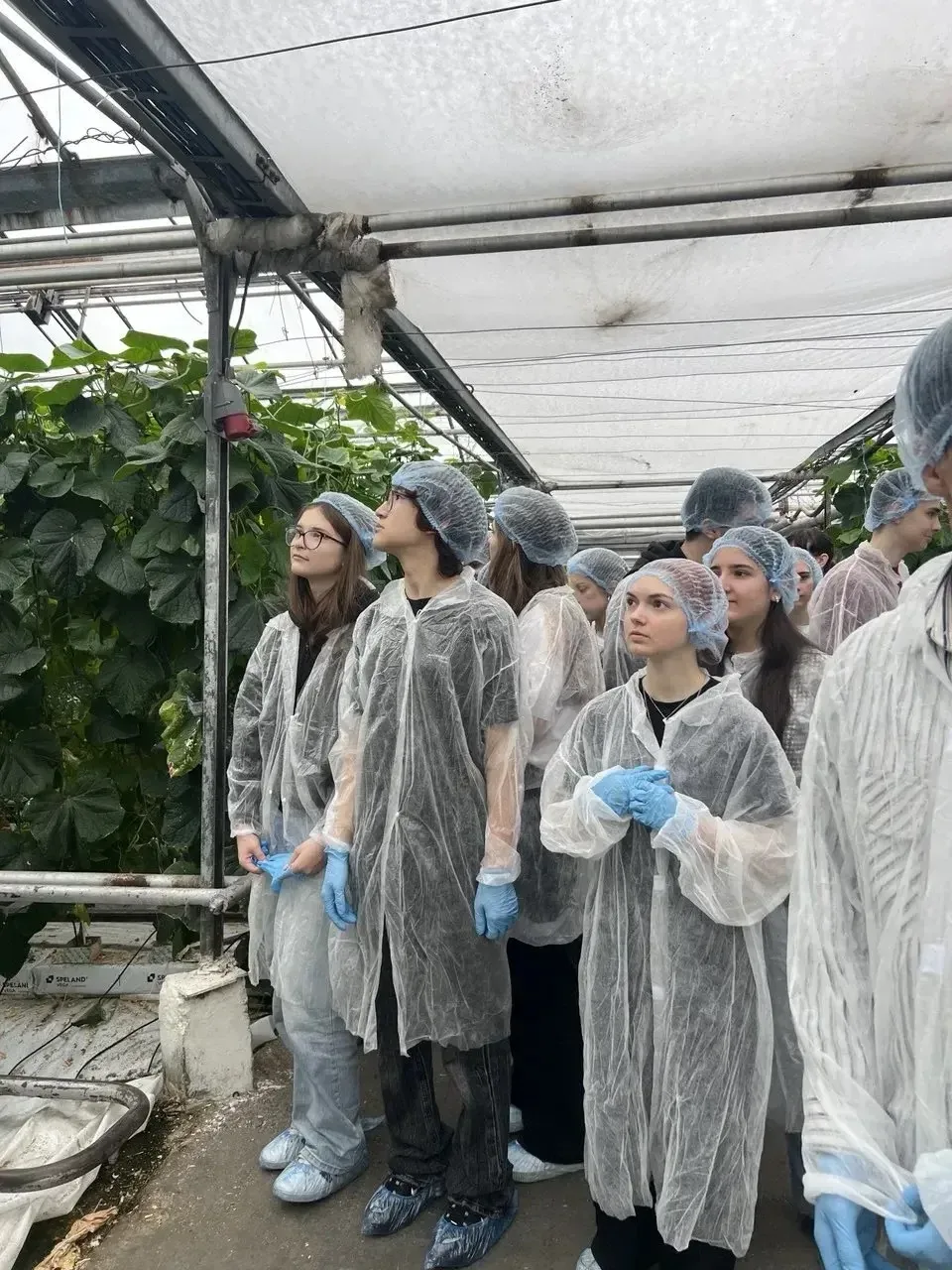 🌱В рамках сетевого взаимодействия ученики 10.3 и 7 «А» агротехнологических классов посетили практиче