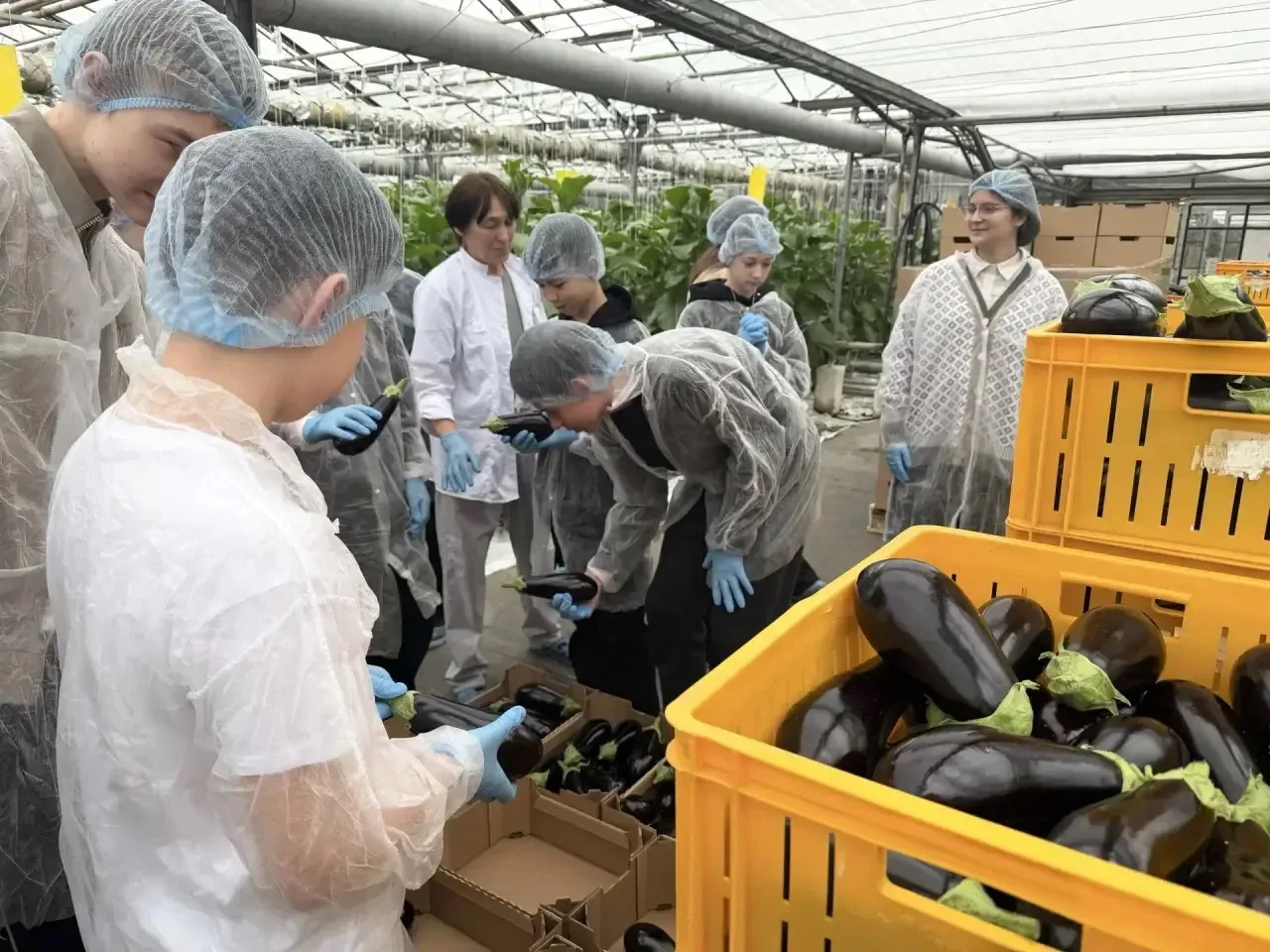 🌱В рамках сетевого взаимодействия ученики 10.3 и 7 «А» агротехнологических классов посетили практиче