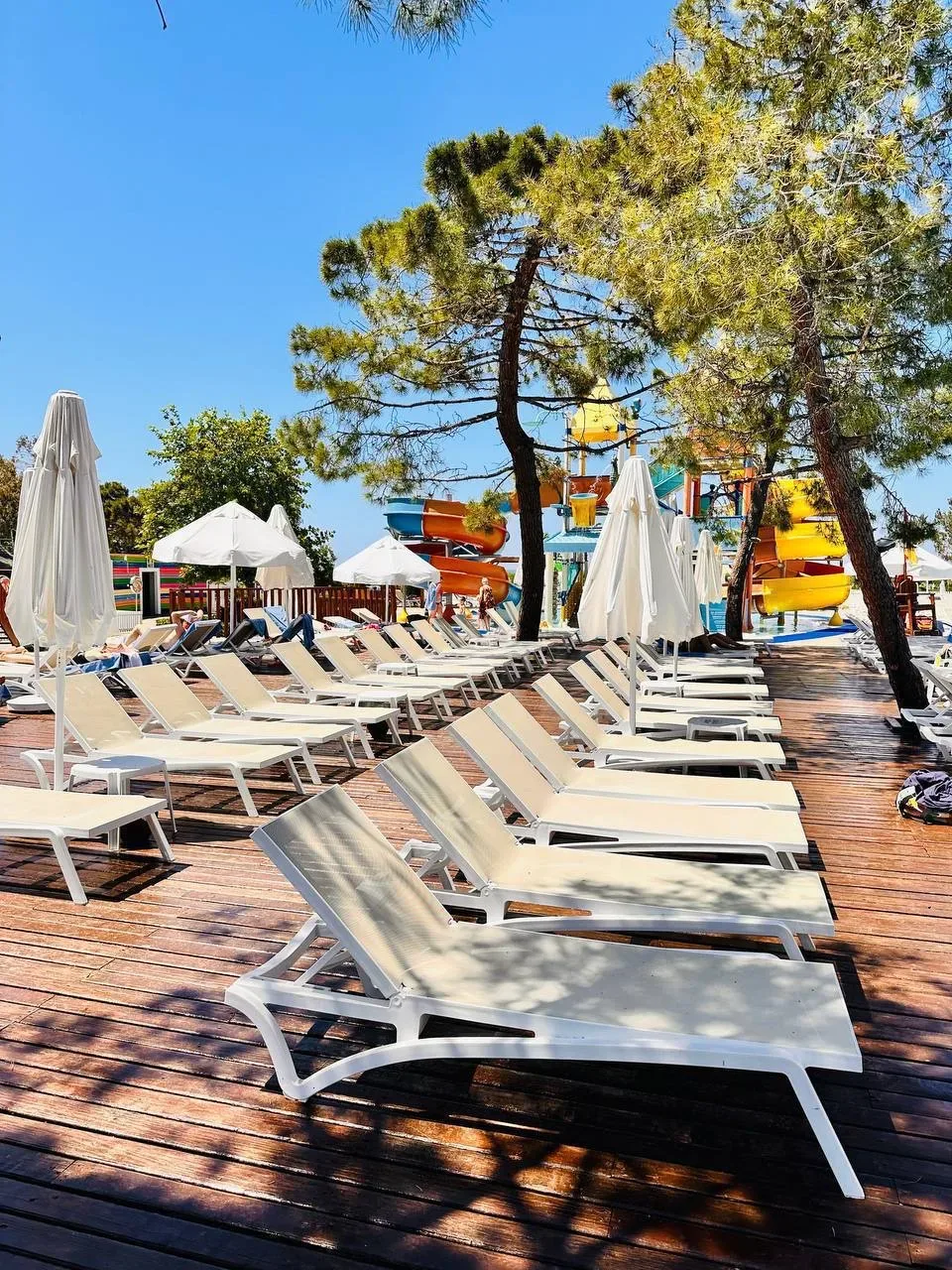 ТУРЦИЯ 🇹🇷 СИДЕ  Семейный отель в Сиде по приятной цене😍  🌿Sueno Hotels Beach 5*  Красивая зеленая те