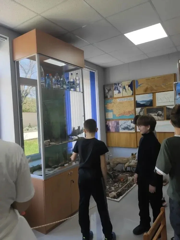 🌿 5-В класс в Музее им. Е.Н. Овена: знакомство с зелёным миром Крыма  Севастопольский центр туризма,