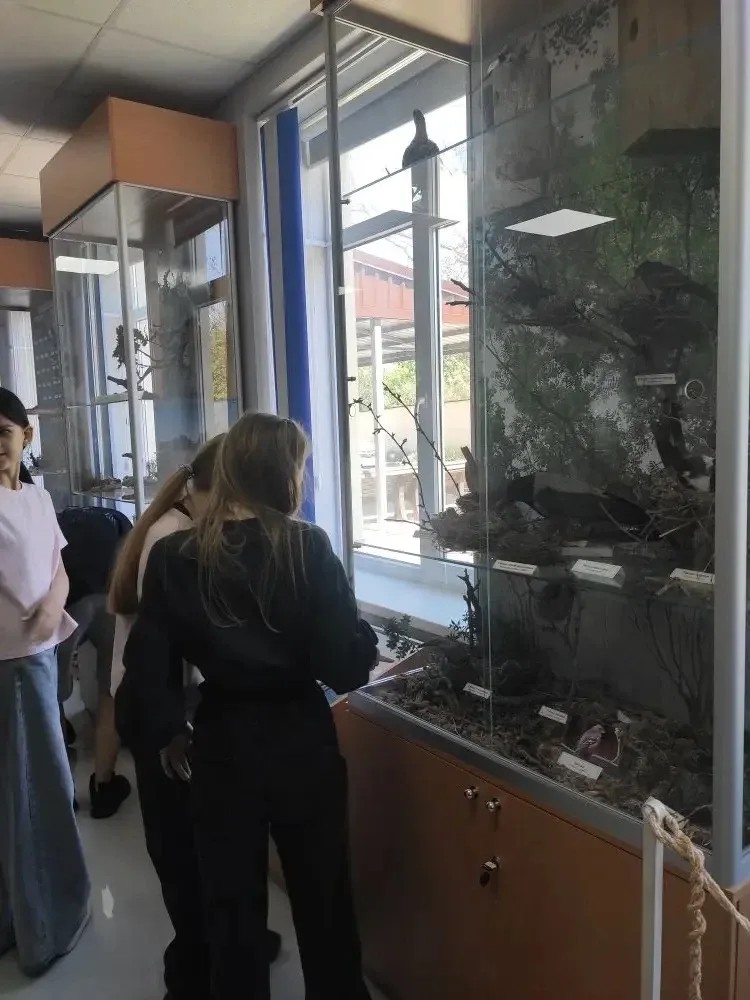 🌿 5-В класс в Музее им. Е.Н. Овена: знакомство с зелёным миром Крыма  Севастопольский центр туризма,