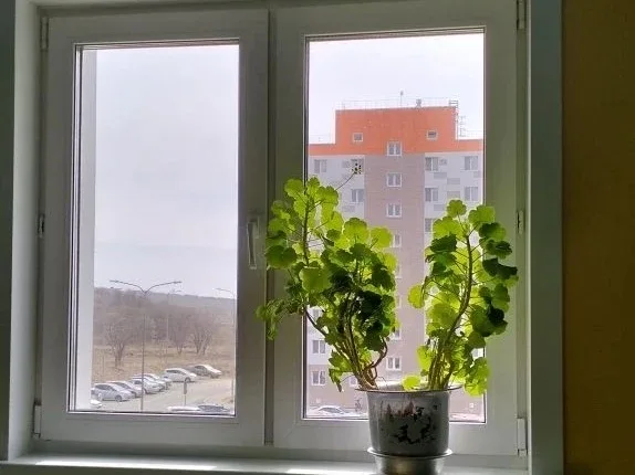 🏡 В Сахалинской области стартовал новый сезон конкурса «Подъезд образцового содержания».  В мае на м