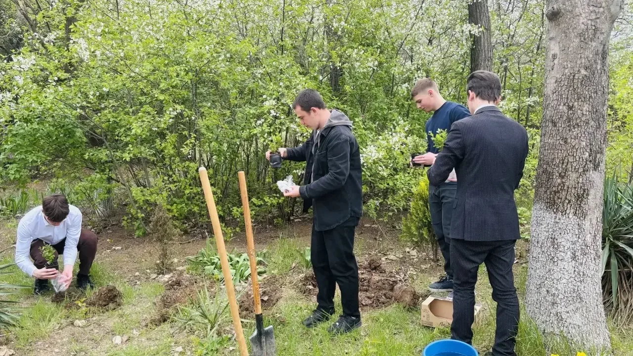🌳По доброй традиции выпускники делают гимназии «Зеленый подарок».  Это саженец кустарника или дерева