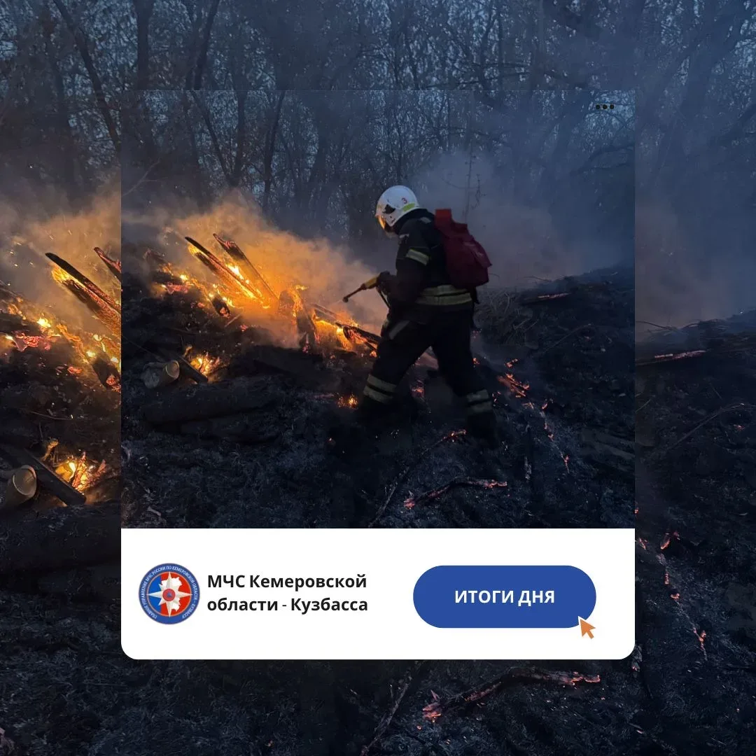 За дежурные сутки с 2 по 3 мая  пожарно-спасательные подразделения Кузбасса ликвидировали 1️⃣6️⃣5️⃣п