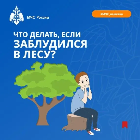 Если ты заблудился в лесу!  ⛺Если вы оказались в ситуации, когда не можете найти дорогу из леса, важ