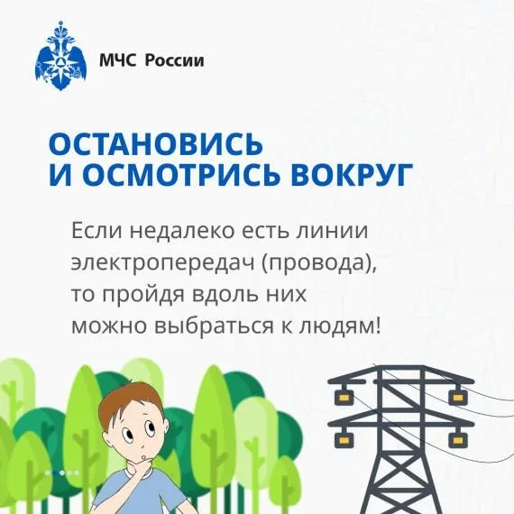 Если ты заблудился в лесу!  ⛺Если вы оказались в ситуации, когда не можете найти дорогу из леса, важ