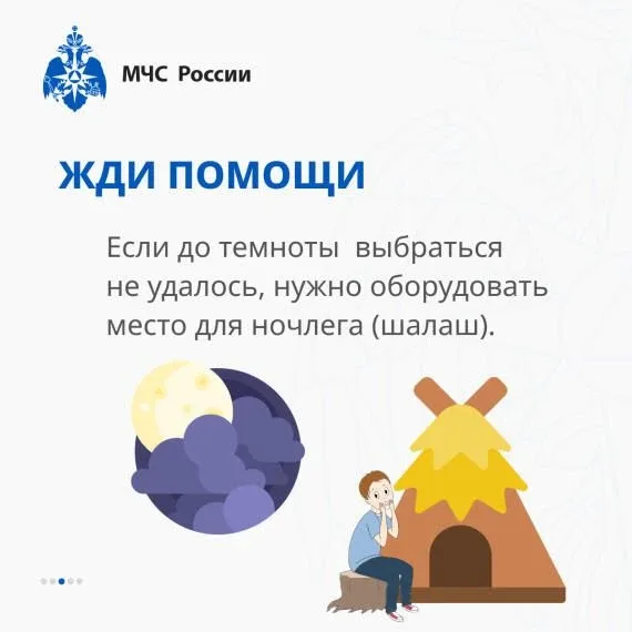 Если ты заблудился в лесу!  ⛺Если вы оказались в ситуации, когда не можете найти дорогу из леса, важ