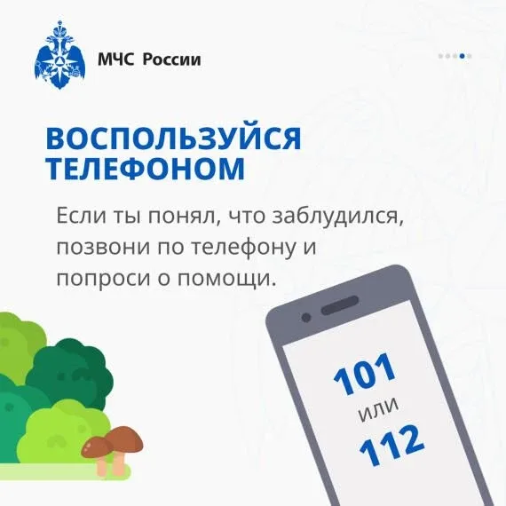 Если ты заблудился в лесу!  ⛺Если вы оказались в ситуации, когда не можете найти дорогу из леса, важ