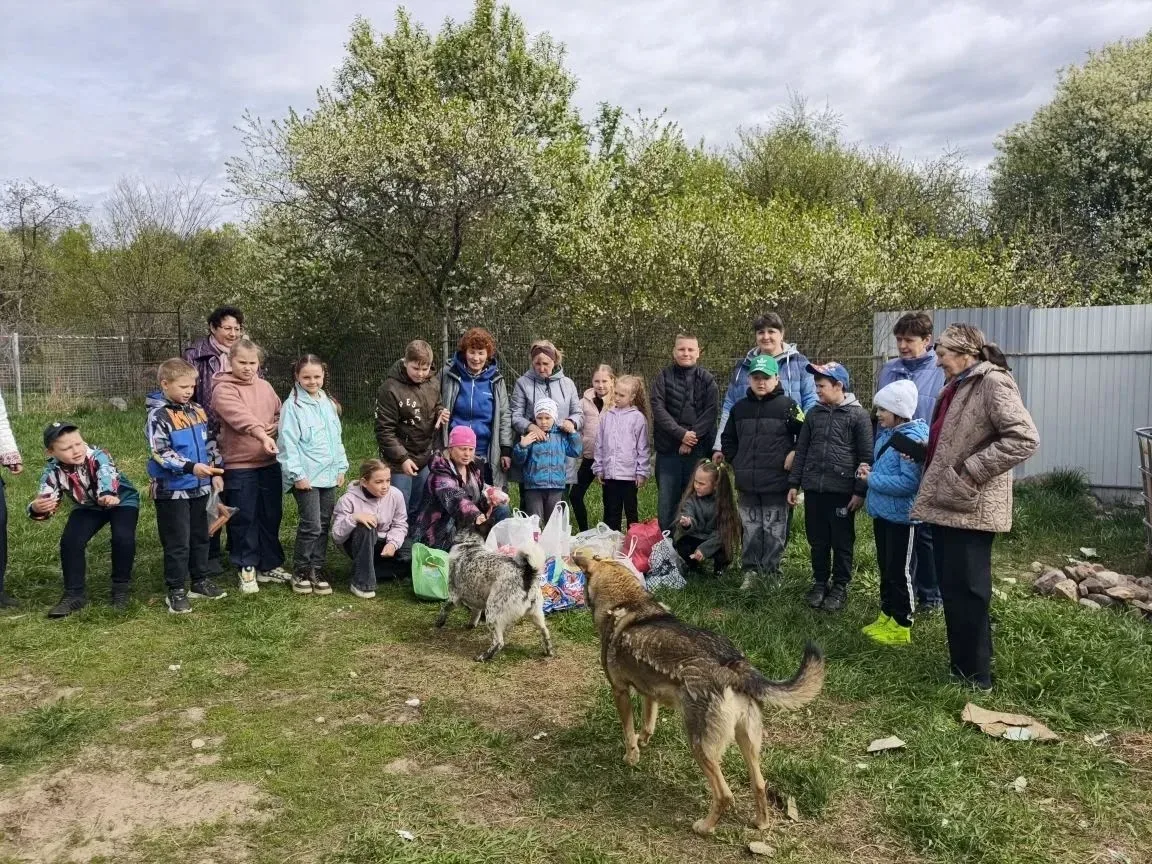 🐈🐕Поможем братьям нашим меньшим.  🐕В минувшие выходные учащиеся 4 А класса ( классный руководитель Т