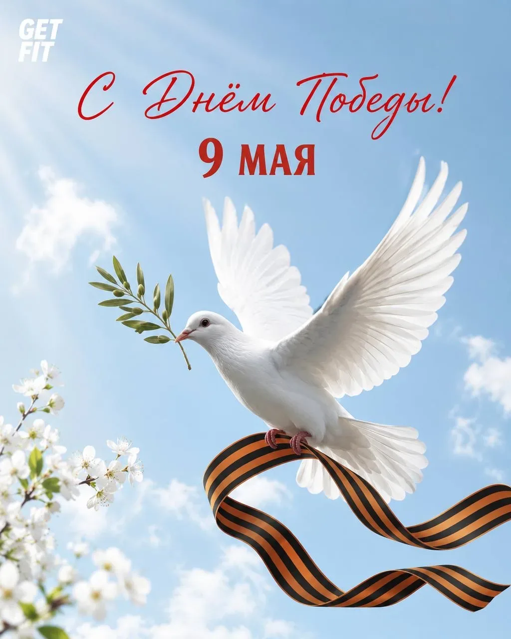 С праздником 9 мая!   Это день, когда слова кажутся лишними, потому что в каждой семье живет своя ли