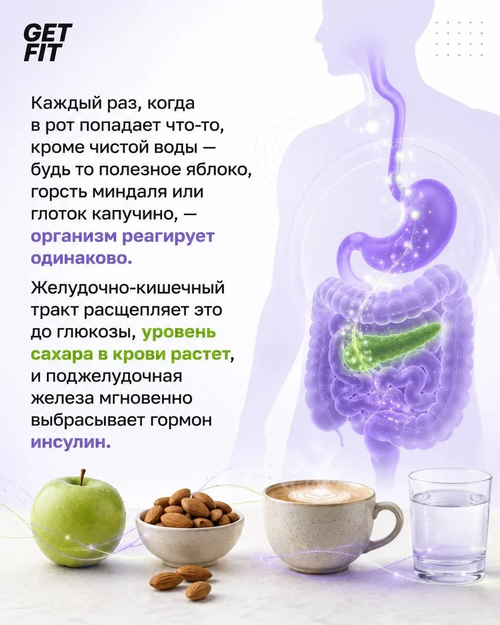 ИНСУЛИНОВЫЙ ПЛЕН: почему вес стоит на месте?  Подробный разбор того, как ваши перекусы блокируют жир