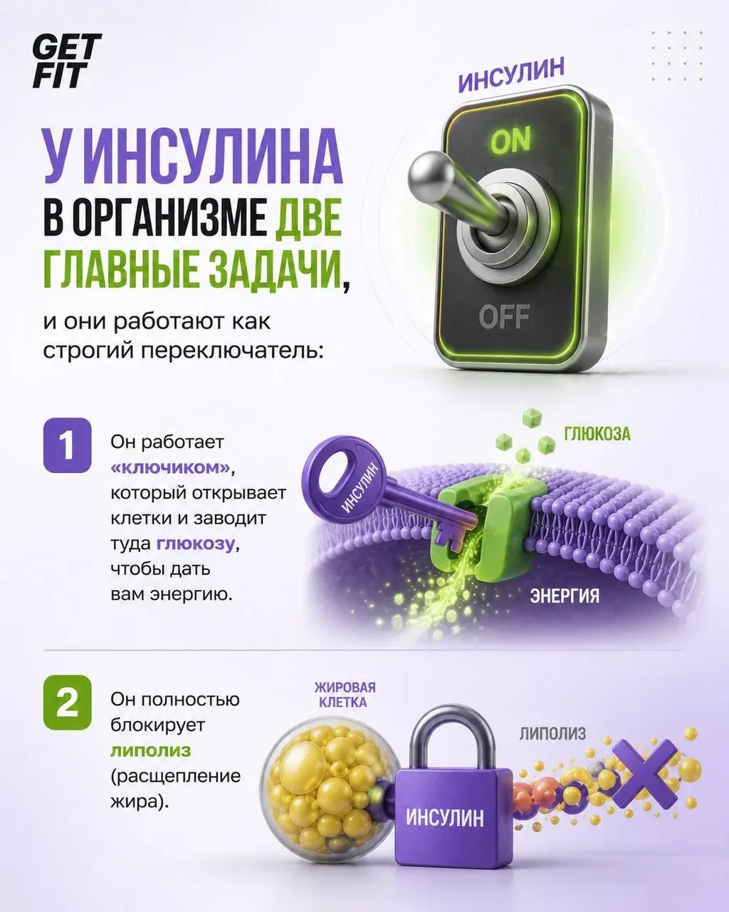 ИНСУЛИНОВЫЙ ПЛЕН: почему вес стоит на месте?  Подробный разбор того, как ваши перекусы блокируют жир