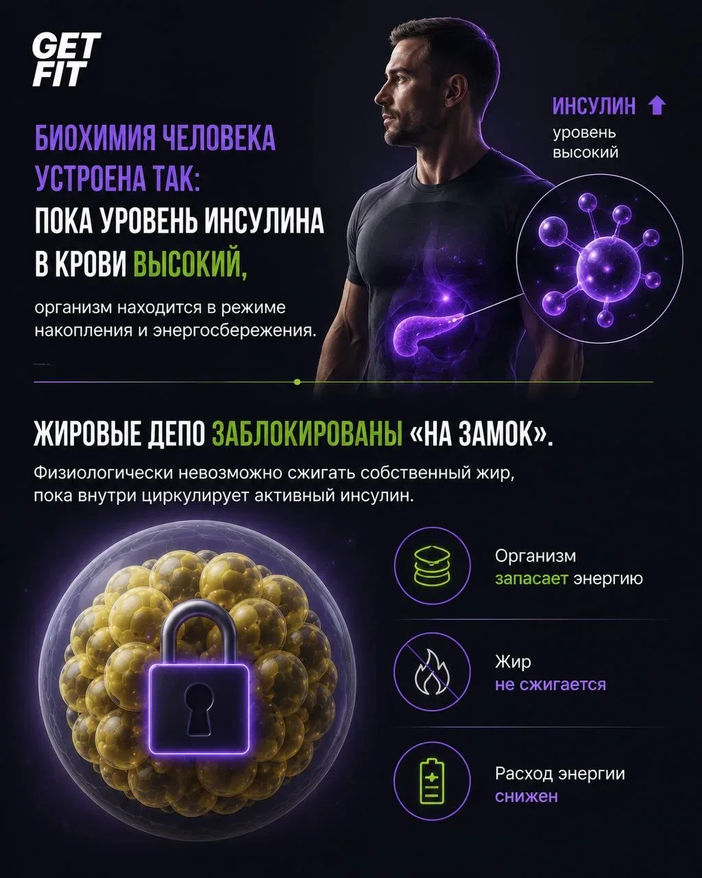 ИНСУЛИНОВЫЙ ПЛЕН: почему вес стоит на месте?  Подробный разбор того, как ваши перекусы блокируют жир
