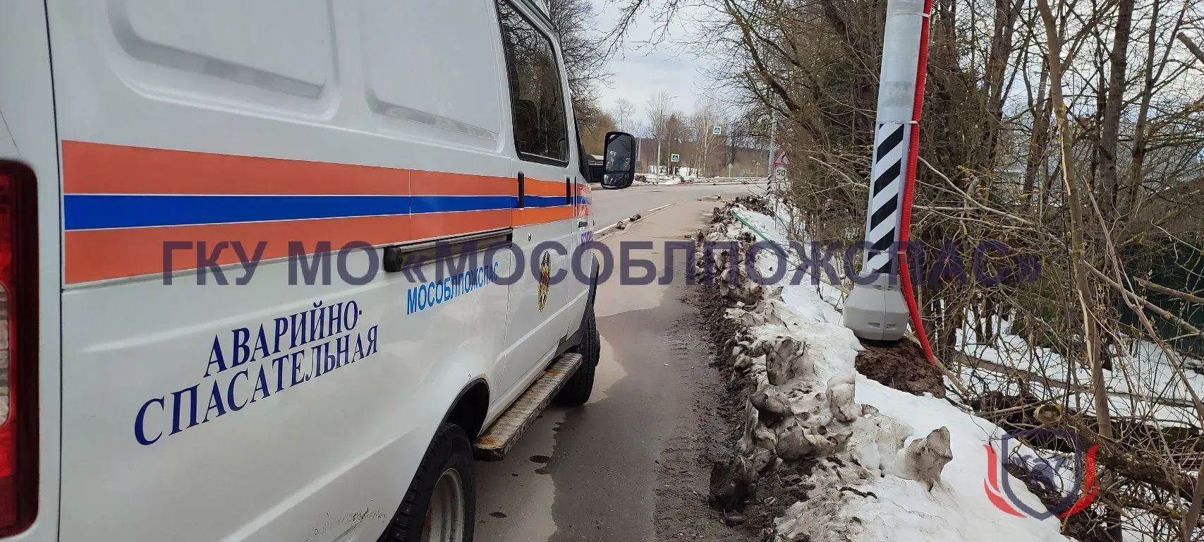 😉 История со счастливым "хвостом"! Спасатели вызволили 80-килограммового пса из ловушки 🤝  🌸👀 Первом