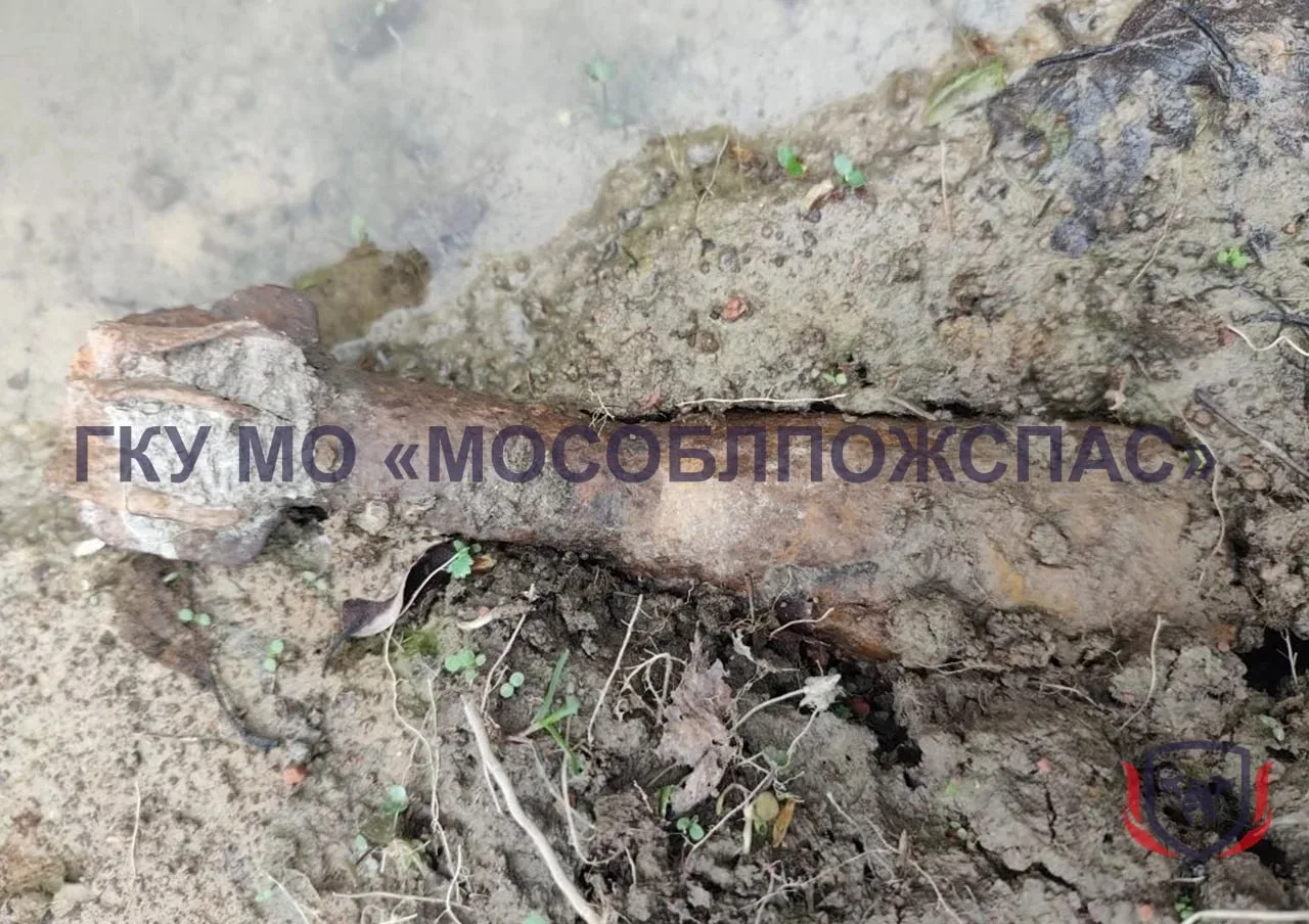 💥 Опасная находка в Дорохово: 50-мм мину времен ВОВ уничтожили взрывотехники  💣Вчера взрывотехники #