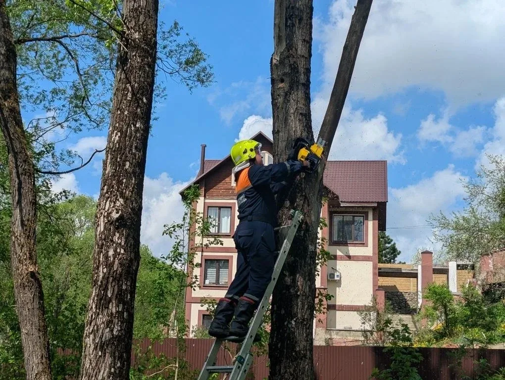 🌿 Спасатели в числе волонтёров помогли вернуть исторический облик Благовещенскому оврагу в Сергиевом