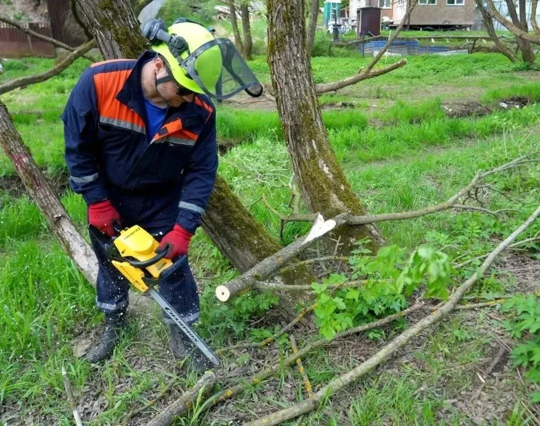 🌿 Спасатели в числе волонтёров помогли вернуть исторический облик Благовещенскому оврагу в Сергиевом