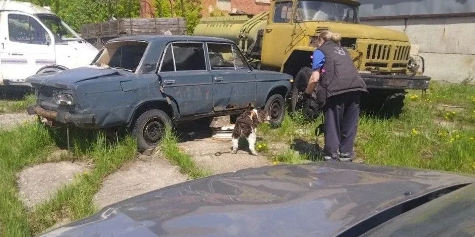 🦮 На страже безопасности: кинологи провели тренировку с четвероногими напарниками ⬇️  📍 В округе #Ст