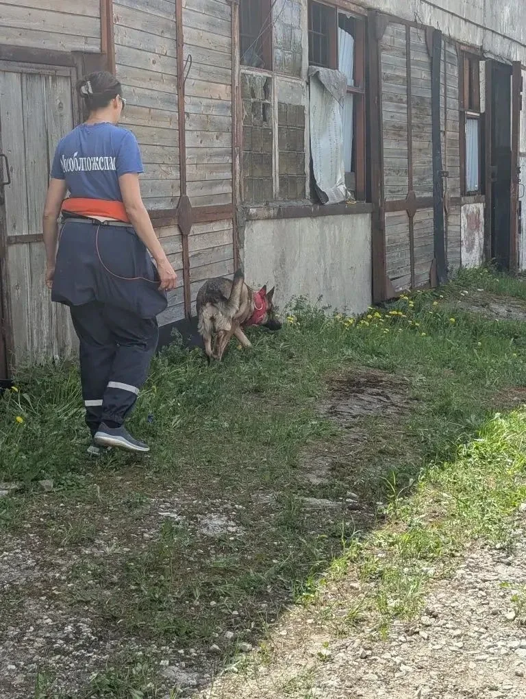 🦮 На страже безопасности: кинологи провели тренировку с четвероногими напарниками ⬇️  📍 В округе #Ст