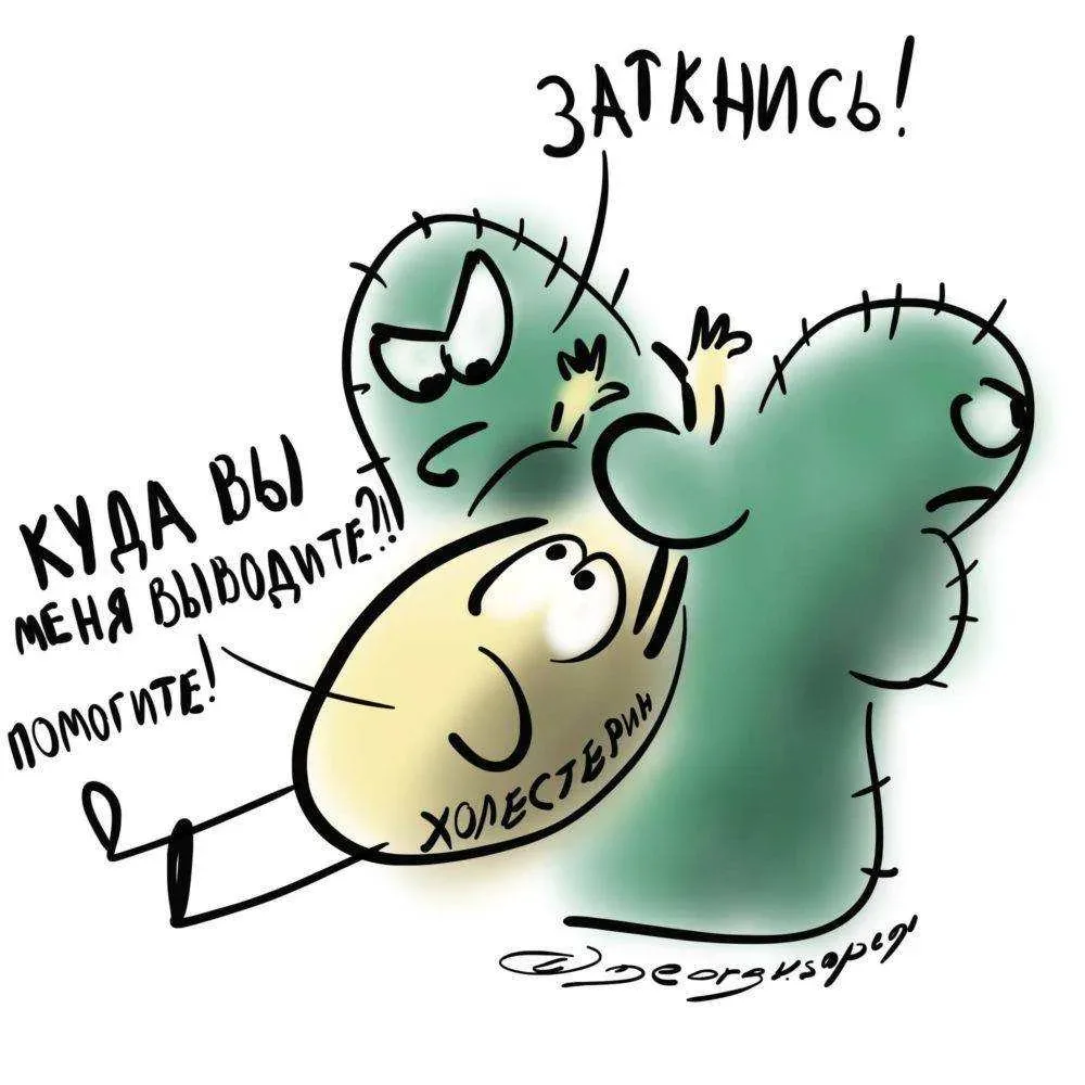 🍃 Топ-5 добавок при повышенном холестерине  (Но сначала — важное предупреждение!)  Прежде чем бежать